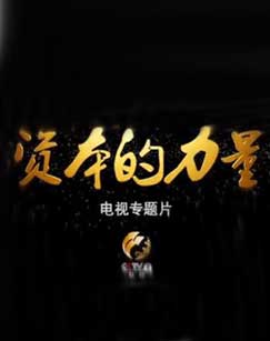 资本的力量