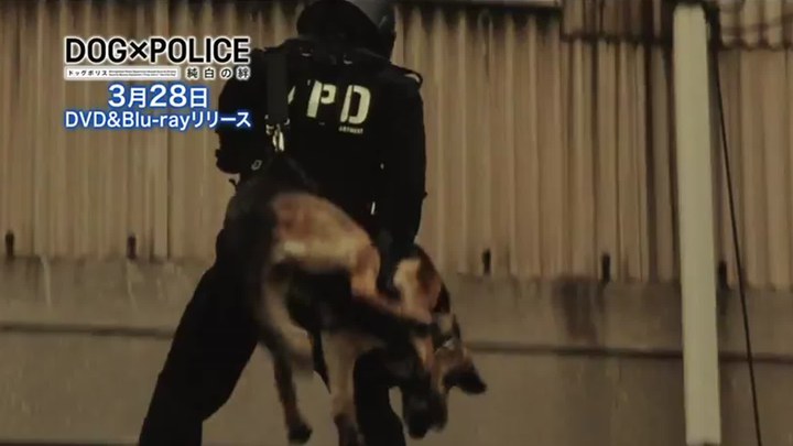 狗与警察 其它预告片2