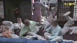 七小罗汉 MV