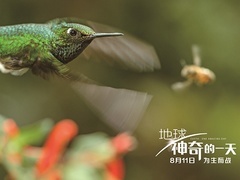 《地球：神奇的一天》拍摄特辑 中国神奇动物首曝光