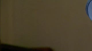 《勇敢的心》團長委托趙舒城辦事