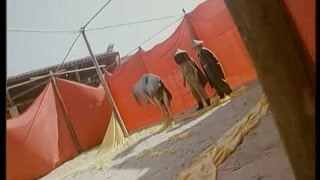 江湖中的爱恨情仇