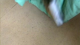 小編變殺手