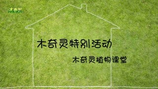 2019木奇灵植物科普校园活动在进行