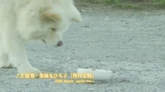 秋田犬蓬夫 预告片