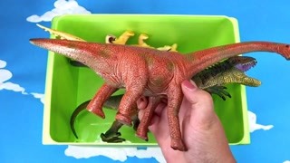 恐龙小百科 走进恐龙世界超真实恐龙还原 精华版