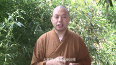 神通佛影 延参法师力挺视频