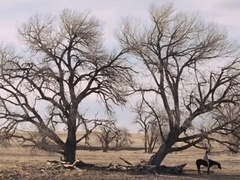 《送鄉人》法國版預告片