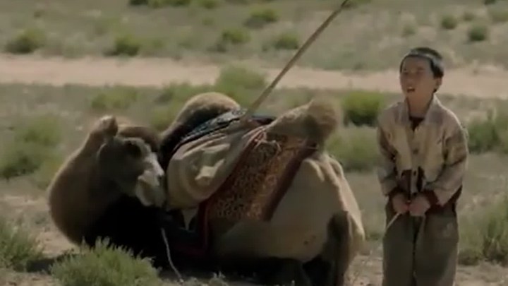 家在水草丰茂的地方 日本预告片3