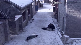 紅雪剪輯徐成峰cut