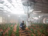 《火星救援》精彩片段之马克首次种出土豆