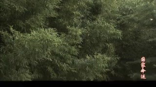 再現“兩彈一星”時代