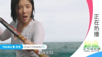 美女假日冲浪遇巨鲨，搏命反击大逃杀