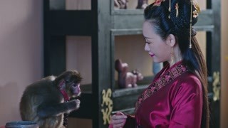 《齊丑無艷》夏迎春殘忍殺猴 我勸你珍愛小動物