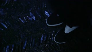 "徽骆驼"精神的展现