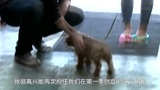 《性愛大師》第二季激情海報拍攝花絮