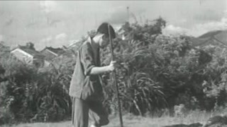 新四軍這個詞出現頻率真多 熱搜第一沒錯了