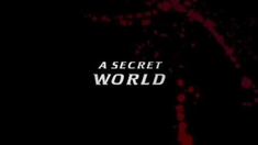 忍者刺客 电视宣传片"Secret World"