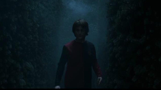 哈利波特与火焰杯 片段“迷宫”