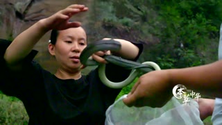 你听说过吗？ 这种动物竟是一味本草