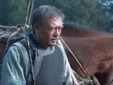 鹿子霖出獄白嘉軒去接