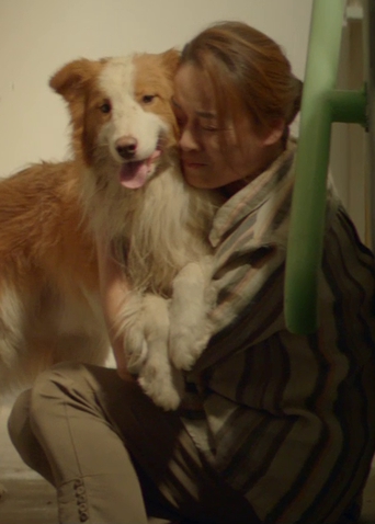 《一条狗的使命2》发布母亲节视频 爱唠叨，爱抱怨，但更爱你