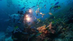 海底世界3D 花絮之The Great Barrier Reef