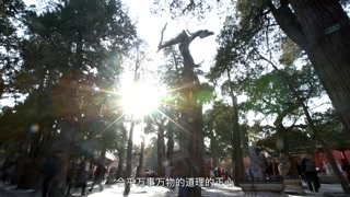 原来身为皇上每天都要上课！