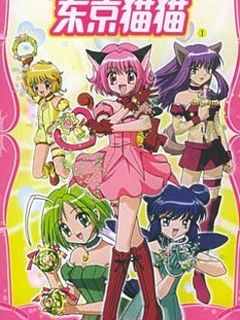 东京猫猫图片