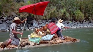 旅者穿越不同的生態圈 仿佛從北極至赤道都一覽全貌