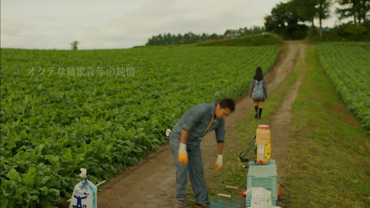 特別普通的戀愛 日本預告片