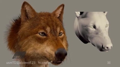 暮色2：新月 制作特辑之The Wolf Pack