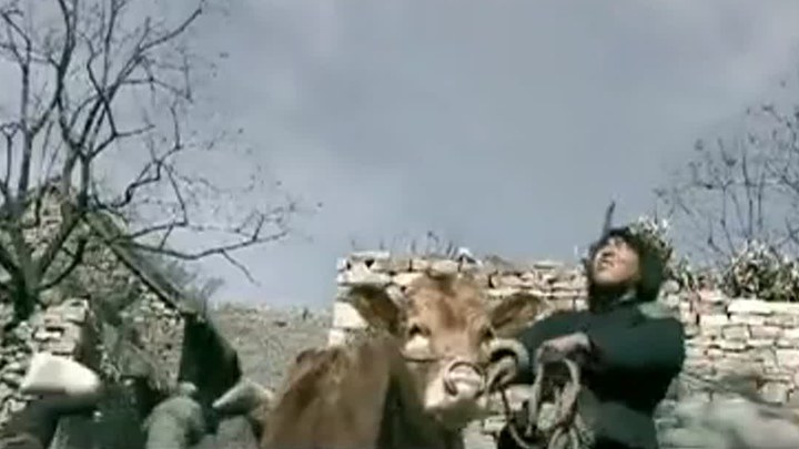 斗牛 預告片 (中文字幕)