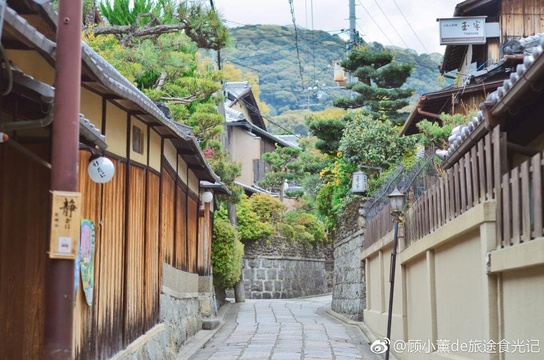 烟雨京都 晚樱最后的绽放(2) 第2页