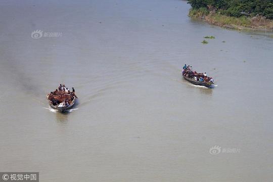 孟加拉20头牛乘船过河超淡定 排列整齐场面壮观(4) 第4页