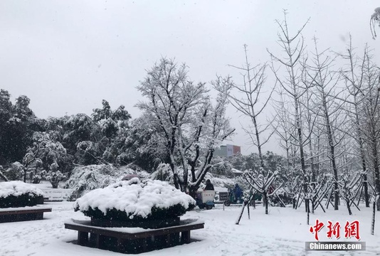 扬州迎来新年首场雪 积雪深度已超10厘米 第1页
