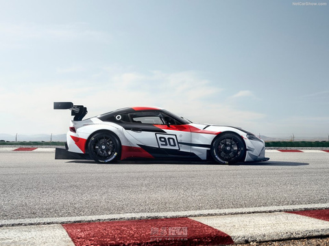 Toyota GR Supra Racing Concept(15) 第15页