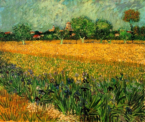 梵高-View of Arles with Irises in the Foreground 第1页