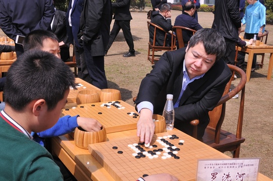 高清-开幕式后公益指导棋 棋迷积极参与(16) 第16页