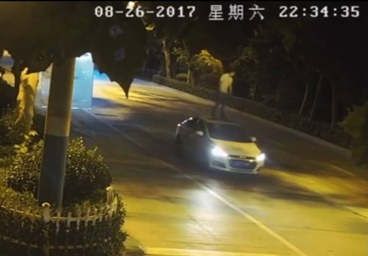 醉汉驾车过桥不慎翻车 鳄鱼群中惊险获救(8) 第8页