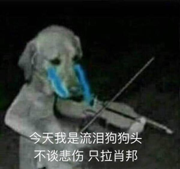 猜成语羊狗是什么成语_狗年说狗 关于狗的成语 诗词,你知道多少(3)