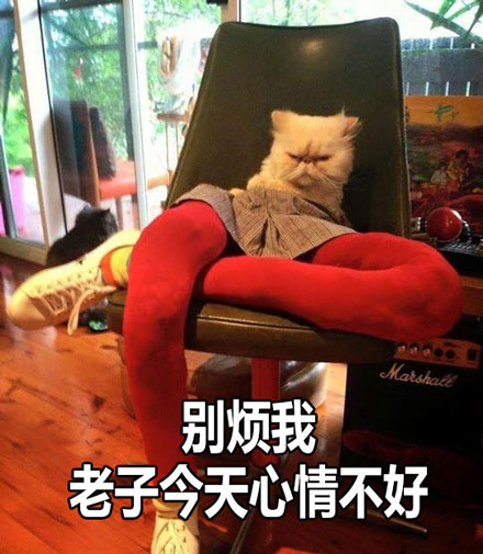 表情catwdneehn别烦我老子今天心情不好表情