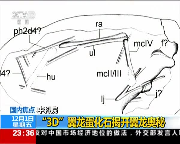 人口学校育儿期教案_教育教学(3)