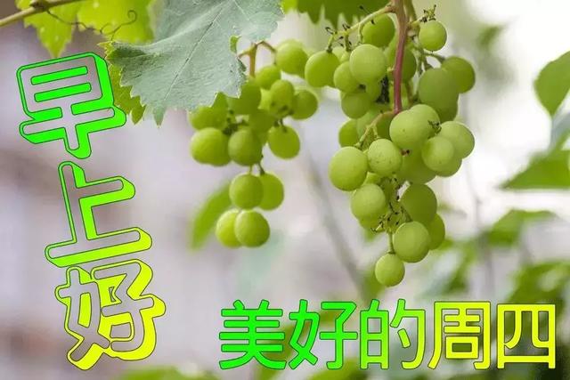 今天新开传奇3私服游戏截图2