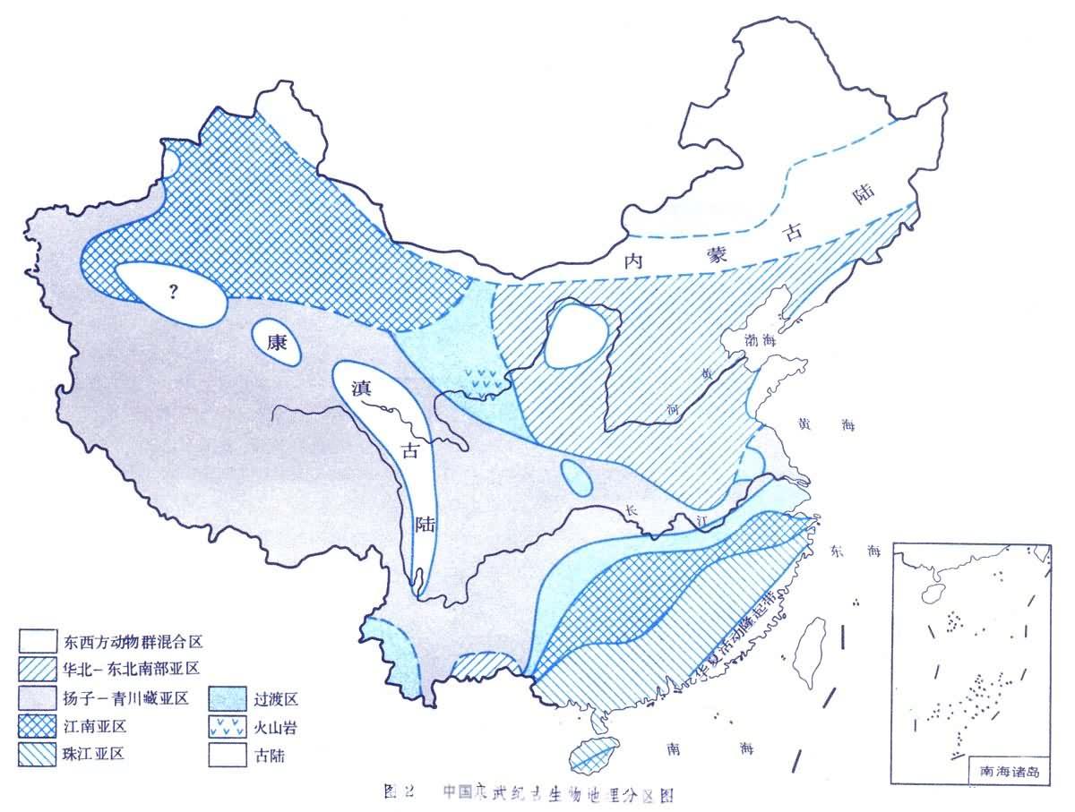 2中国高清