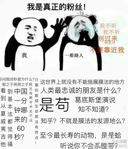 苟1s什么意思