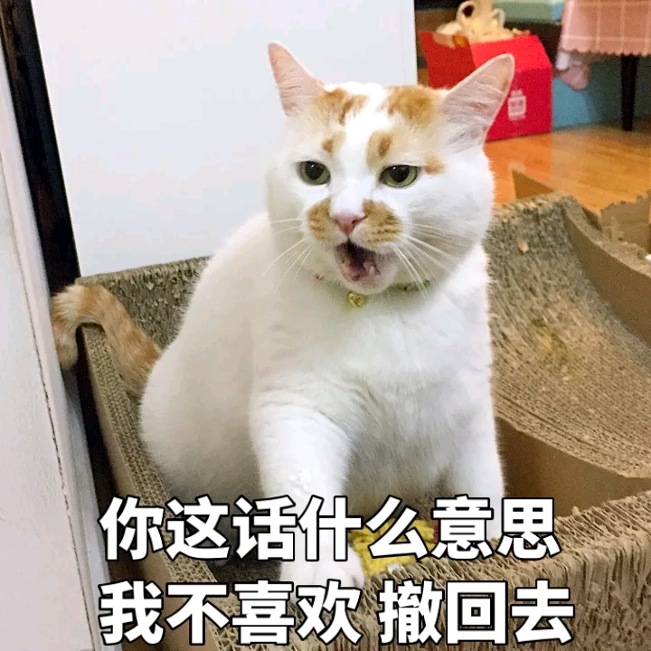 喵表情包高清