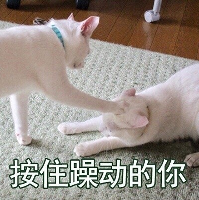 怎么叠加表情包、如何合成表情包