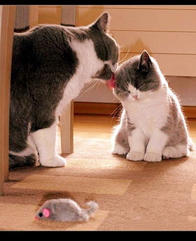 卖沙子猜成语是什么成语_表情 牛蛇疯狂猜成语 疯狂猜成语之杯弓蛇影 疯狂猜(2)