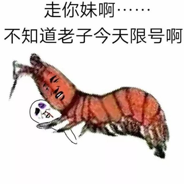 表情走你妹啊不知道老子今天限号啊表情
